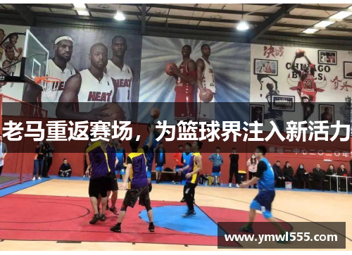 老马重返赛场，为篮球界注入新活力